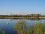Dog walking Wakefield