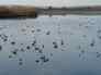 Pugneys lake wakefield