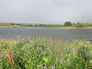 Wakefield birds area