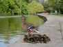 Thornes Park wakefield