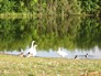 Walton nature park wakefield