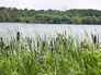 Wintersett reservoir