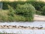 Wintersett nature reserve