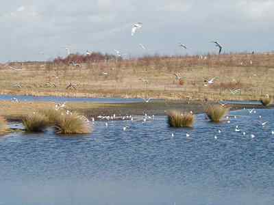 Walton colliery
