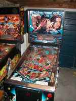 Demolition man flipper