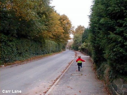 Carr Lane, Wakefield