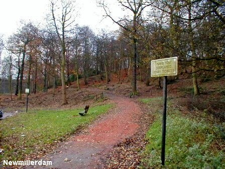 Newmillerdam, Wakefield