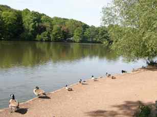 Newmillerdam Wakefield