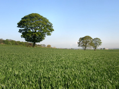 Chevet Lane, Wakefield