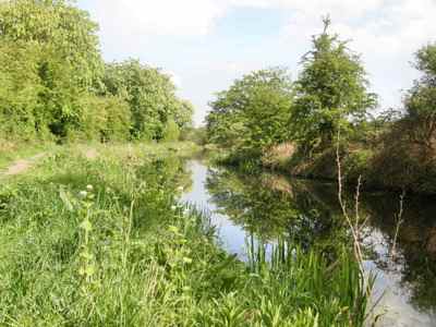 Barnsley Canal