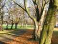 Wakefield West Yorkshire
