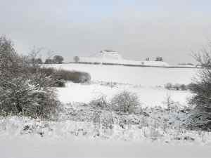 Snow Wakefield