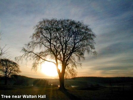 Walton Hall, Wakefield